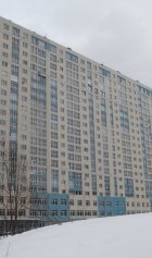 Ход строительства ЖК на ул. Наумова (литер 4) на 17 февраля 2019